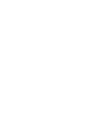 Mudball